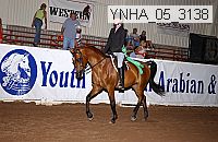 ynha_05_3138 thumbnail