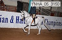 ynha_05_3150 thumbnail