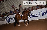 ynha_05_3166 thumbnail
