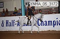 ynha_05_3172 thumbnail