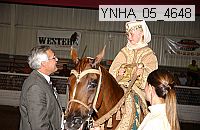 ynha_05_4648 thumbnail
