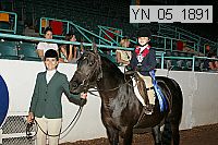 yn_05_1891 thumbnail