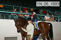 yn_05_1893 thumbnail