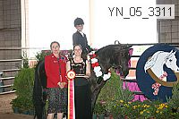 yn_05_3311 thumbnail