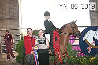 yn_05_3319 thumbnail