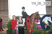 yn_05_3320 thumbnail