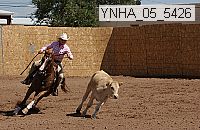 ynha_05_5426 thumbnail