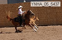 ynha_05_5437 thumbnail