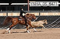 ynha_05_5471 thumbnail