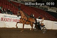 06buckeye_0010 thumbnail