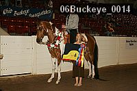 06buckeye_0014 thumbnail