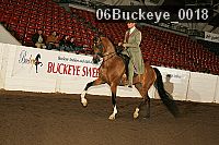 06buckeye_0018 thumbnail