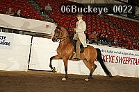 06buckeye_0022 thumbnail