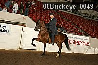 06buckeye_0049 thumbnail