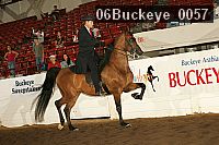 06buckeye_0057 thumbnail