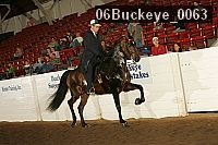 06buckeye_0063 thumbnail