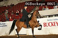 06buckeye_0065 thumbnail