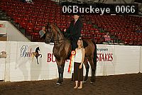 06buckeye_0066 thumbnail