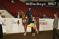 06buckeye_0067 thumbnail