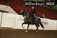 06buckeye_0068 thumbnail