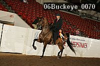 06buckeye_0070 thumbnail