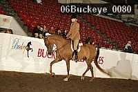 06buckeye_0080 thumbnail