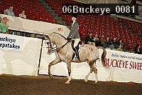 06buckeye_0081 thumbnail