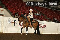 06buckeye_0090 thumbnail