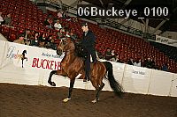 06buckeye_0100 thumbnail