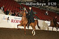 06buckeye_0120 thumbnail