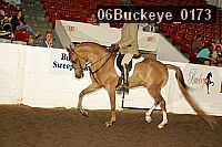 06buckeye_0173 thumbnail