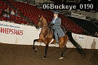 06buckeye_0190 thumbnail