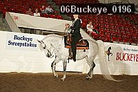 06buckeye_0196 thumbnail