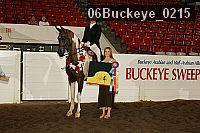 06buckeye_0215 thumbnail