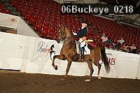 06buckeye_0218 thumbnail