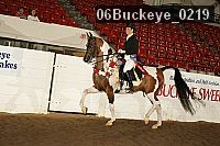 06buckeye_0219 thumbnail