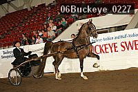 06buckeye_0227 thumbnail