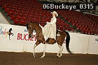 06buckeye_0315 thumbnail