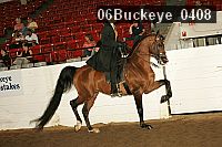 06buckeye_0408 thumbnail