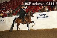 06buckeye_0411 thumbnail