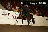 06buckeye_0440 thumbnail