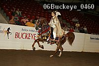 06buckeye_0460 thumbnail