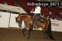 06buckeye_0471 thumbnail