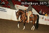 06buckeye_0475 thumbnail