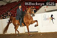 06buckeye_0525 thumbnail