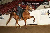 06buckeye_0528 thumbnail