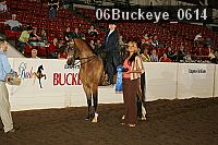 06buckeye_0614 thumbnail