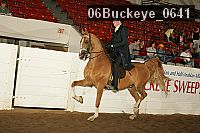 06buckeye_0641 thumbnail