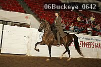 06buckeye_0642 thumbnail