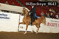 06buckeye_0643 thumbnail